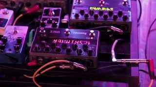 Noveller - St. Vincent - Day 29, Omaha, NE - Saint of Pedals