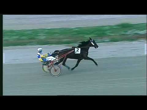 Napoli Trotto 18/11/2022 - prova di riqualifica