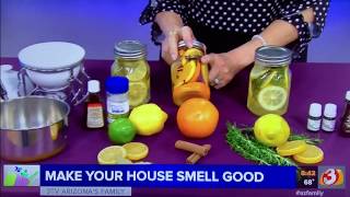 How to make your House SMELL GOOD-- Queen of Clean on TV