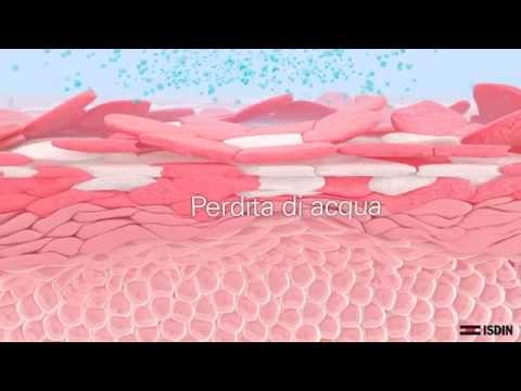 Lakrustat per comprare in Mosca Perfektit per psoriasi il prezzo