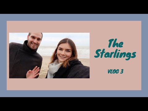 The Starlings   Vlog 3