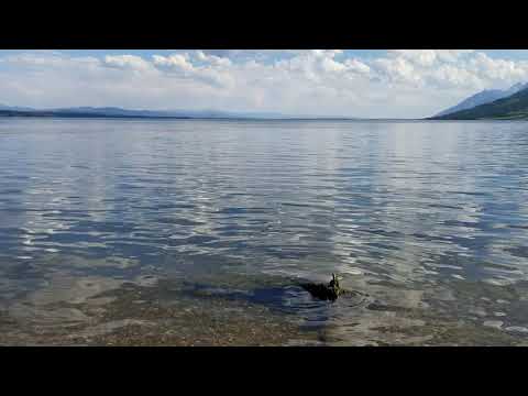 View of the lake - no crowds (I was the only one there) - cool water and quiet.