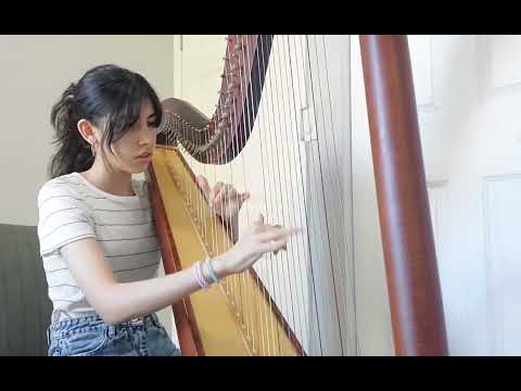 Baroque Flamenco by Parnian Hosseini (Full Version, 3rd edition, Celtic Harp)