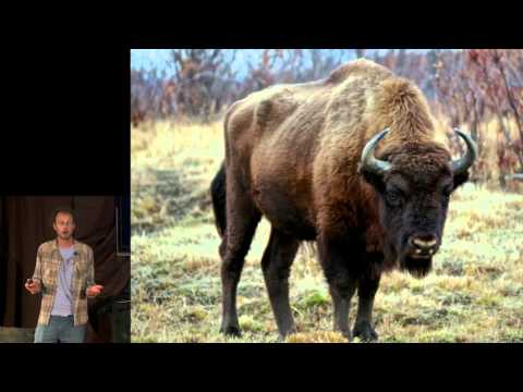 Can woolly mammoths save the world?: Luke Griswold-Tergis at TEDxConstitutionDrive