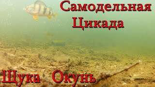 Цикада приманка для рыбы как ловить