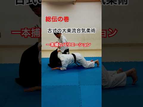 植芝流の一本捕のバリエーション〜合気道の源はここにあり〜大東流合気柔術