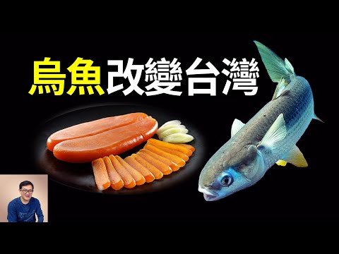 為什麼說烏魚改變了台灣歷史？被稱為「烏金」的烏魚子到底有多獨特？我吃過之後的真實評價竟然是……【老肉雜談】#知識 #動物 #美食 #海洋生物 #烏魚