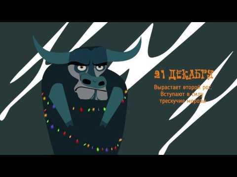 Сегодня у якутского Быка холода отвалился первый рог