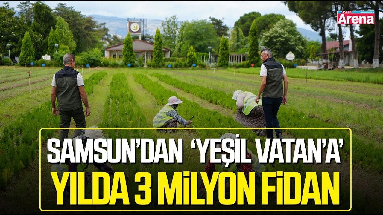 Samsun'dan 'Yeşil Vatan'a yılda 3 milyon fidan