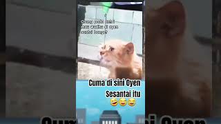 Download lagu Oyen made a queue #catlovers #oyencat #cutecat #smartcat #entertainment #shorts mp3 Download lagu Oyen made a queue #catlovers #oyencat #cutecat #smartcat #entertainment #shorts mp3
