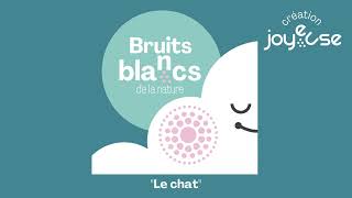 Bruits blancs de la nature - Le chat