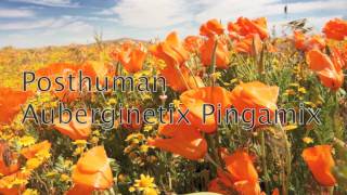 Posthuman - Auberginetix Pingamix