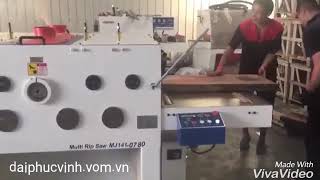 Máy cưa gỗ nhiều lưỡi - định vị bằng đèn laser