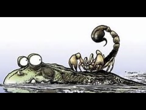 O sapo, o escorpiaõ e a paixão - Catedral