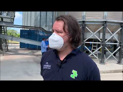 Ministry of Agriculture Partners with Cayo Farmers to Export Corn to Guatemala Pt 3