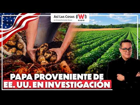 Mexican producers report failures following the irregular entry ...