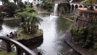 preview picture of video 'Madeira: Funchal, Monte, Tropical Garden Feb. 2013 (Tag1,2,3)'