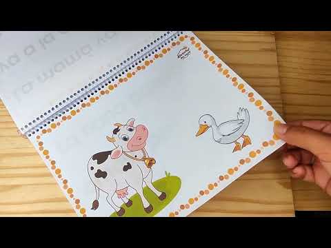 𝟮𝟱 𝗗𝗜́𝗔𝗦 𝗣𝗔𝗥𝗔 𝗔𝗣𝗥𝗘𝗡𝗗𝗘𝗥 𝗔 𝗟𝗘𝗘𝗥