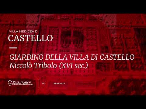 Villa medicea di Castello - Giardino della Villa di Castello