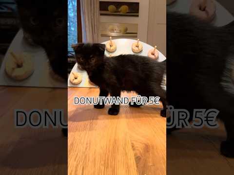 Rennt zu Tedi, für diese tolle Donutwand #donuts #tedihaul #tedi