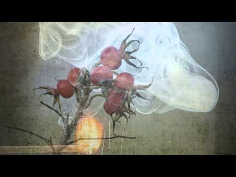 Gioconda Belli „Unverbesserlich"