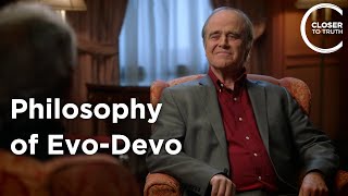 Terrence Deacon - Philosophy of Evolutionary Developmental Biology [Evo-Devo]