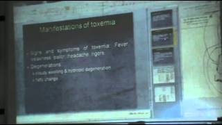 Dr.Sahar - Bacterial & Fungal infections (8) - Pathology
