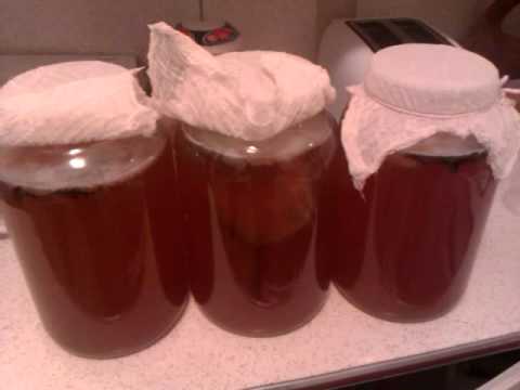 download lagu mp3 mp4 Why Is Metal Bad For Kombucha, download lagu Why Is Metal Bad For Kombucha gratis, unduh video klip Why Is Metal Bad For Kombucha