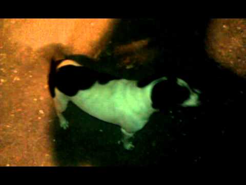 download lagu mp3 mp4 Little Uglies, download lagu Little Uglies gratis, unduh video klip Little Uglies