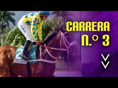 3RD RACE - HIPICO CLUB - LA RINCONADA RACECOURSE MARCH 1, 2026