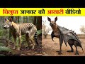 5 विलुप्त जानवरों की आखरी वीडियो 5 EXTINCT ANIMA