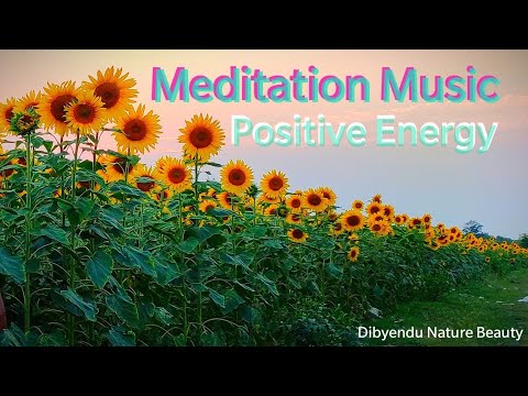 Meditation Music /Relaxing Music Fresh Mind and Body