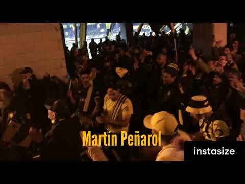 "Previa de la percusión- Hinchada de Peñarol (vs wanderers)" Barra: Barra Amsterdam • Club: Peñarol