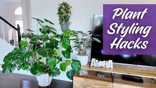 Make Your Plants Look AMAZING With These Plant Styling Décor Hacks