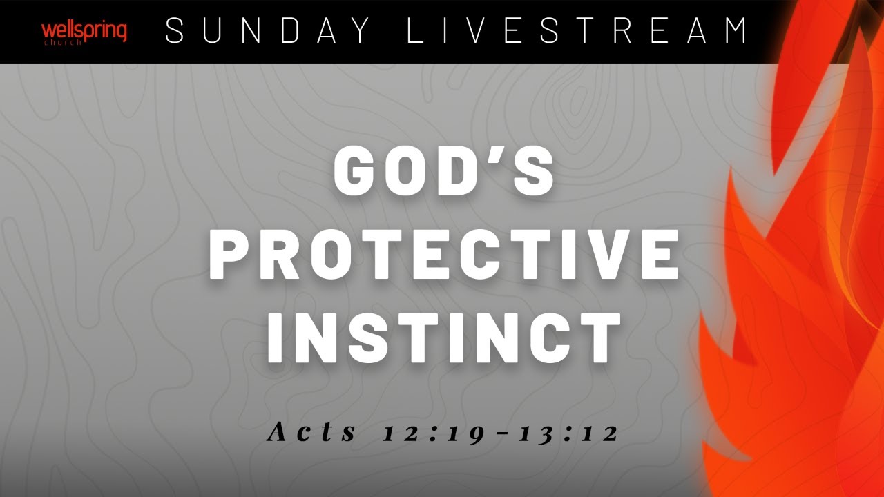 God's Protective Instinct
