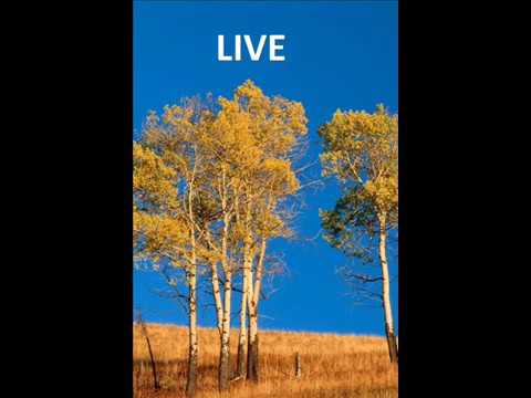 CRISTINA RAICU,VALENTINA RAICU,FLORENTINA RAICU LIVE,,FULL