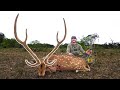 RANCH RECORD! SPOT & STALK Low Fence TEXAS AXIS With The BOW
