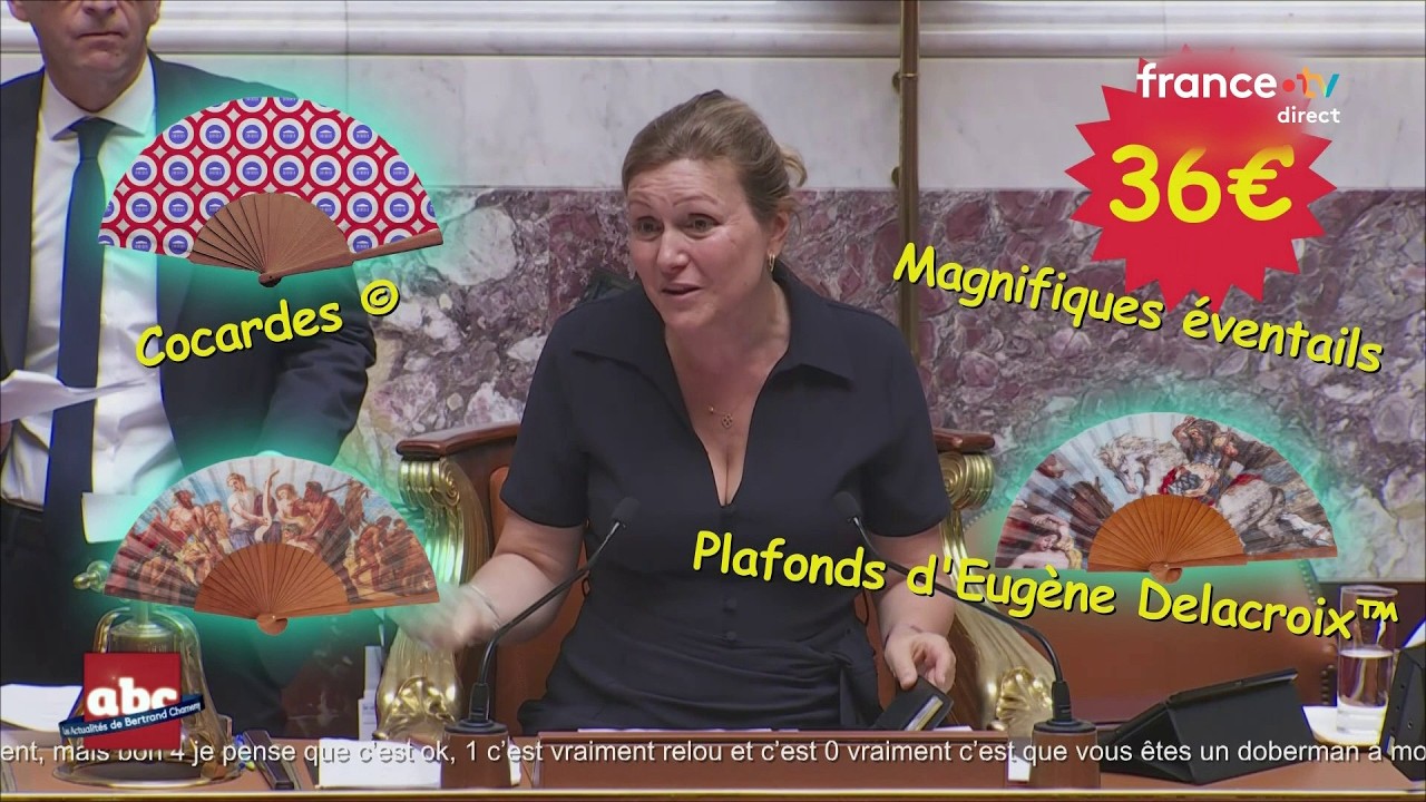 #vis ma vie à l’Assemblée Nationale - L’ABC de Bertrand Chameroy - 29/06/2026