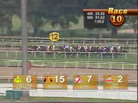 SINGAPORE GOLD CUP 30/11/08 - EL DORADO