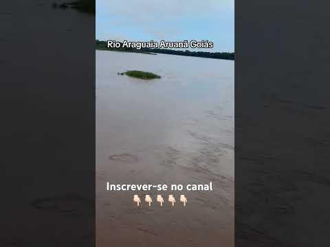 Rio Araguaia Aruanã Goiás #youtubeshorts #shorts #turismo #vemconhecer #pescaria #pescacombambu