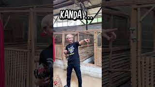 Download lagu brother and sister mp3 Download lagu brother and sister mp3
