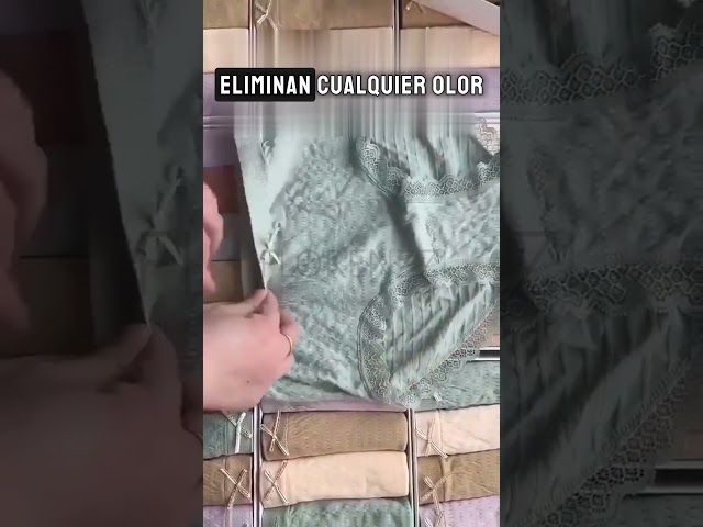 Vídeo relacionado con INNERSY Bragas sin Costuras Mujer Beige Braguitas Invisibles Bajas Hipster Microfibra Pack de 3 (S, 3 Beige)