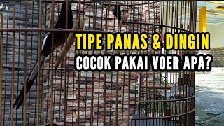 Download lagu What's the Right Feed for Hot and Cold Types? || Murai Batu Workshop mp3