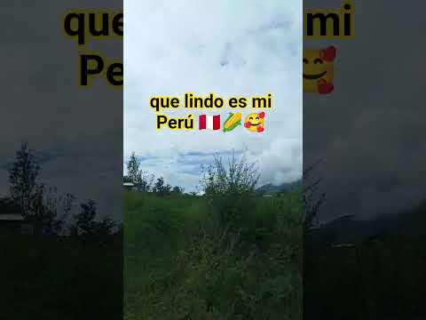 llegando a comer los Choclos san marcos - Cajamarca