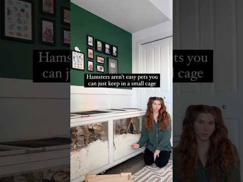 “It’s going to die in a year” #hamsters #hamstercare #pets