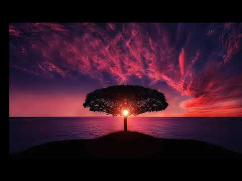 Vanya's Orchestra - The Umbrella Academy