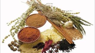 Alestorm - That Famous Ol&#39;spiced(HQ 1080p)