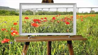 CHRISTOPHE  GOZE  -  Moonlight