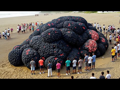 Incredible Moments Caught on Camera