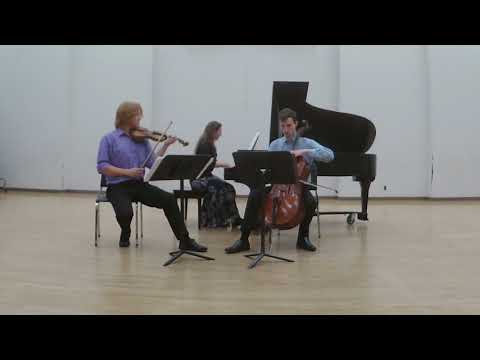 Faure Piano Trio in D minor (first movement)